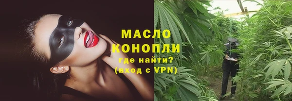 стафф Новозыбков