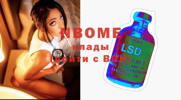 стафф Новозыбков