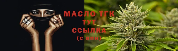 стафф Новозыбков