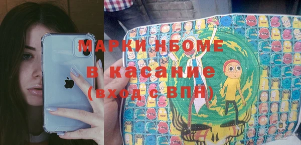 стафф Новозыбков