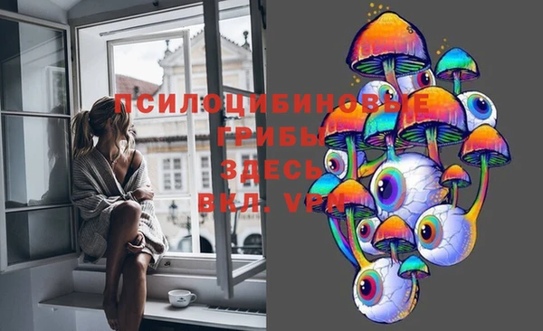 стафф Новозыбков