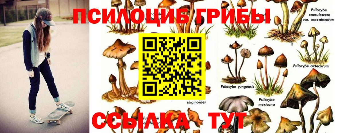Галлюциногенные грибы Cubensis  что такое   Конаково  Вход с VPN 